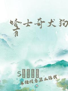 哈士奇犬狗哪里有