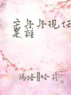 宋丹丹现任老公是谁