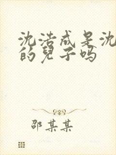 沈浩成是沈皓明的儿子吗