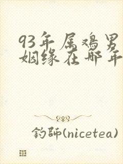 93年属鸡男的姻缘在哪年