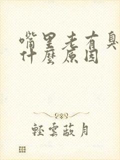 嘴里老有臭味是什么原因