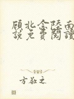 顾北念陆南辰小说免费阅读无弹窗