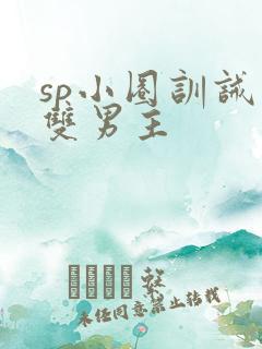 sp小圈训诫文双男主