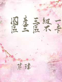 国产三级一区二区三区不卡