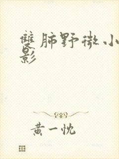 双肺野微小结节影