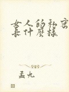 女人的私密部位长什么样