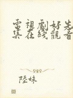 电视剧好先生全集在线观看免费