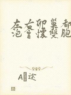 左右卵巢都有卵泡会怀双胞胎吗