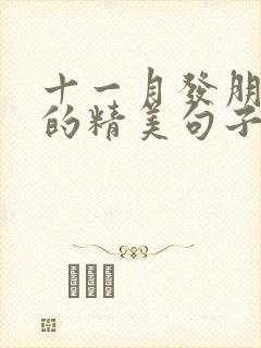 十一月发朋友圈的精美句子