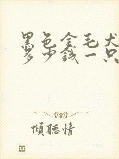 黑色金毛犬幼犬多少钱一只