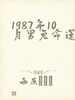 1987年10月男兔命运怎么样
