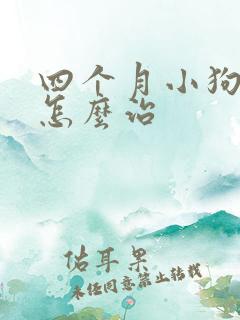 四个月小狗犬瘟怎么治