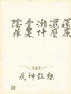 阴囊潮湿还有点痒是什么原因