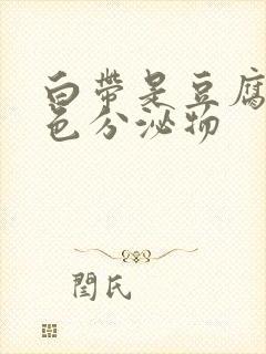 白带是豆腐渣黄色分泌物