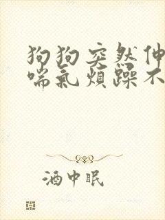 狗狗突然伸舌头喘气烦躁不安