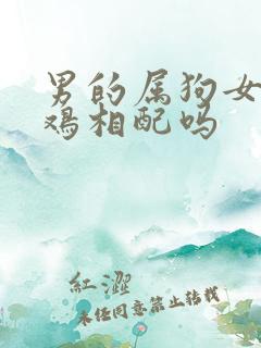 男的属狗女的属鸡相配吗