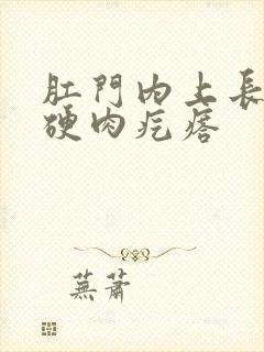 肛门内上长了个硬肉疙瘩