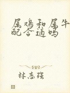 属鸡和属牛的婚配合适吗