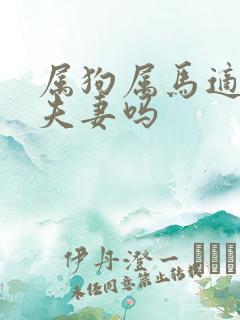 属狗属马适合做夫妻吗