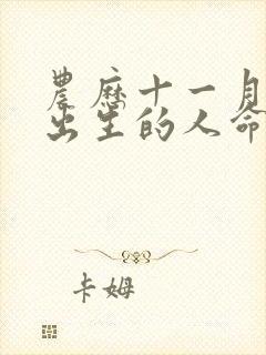 农历十一月十五出生的人命运