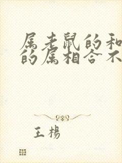 属老鼠的和属蛇的属相合不合