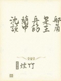 沈兰舟是哪部小说中的主角