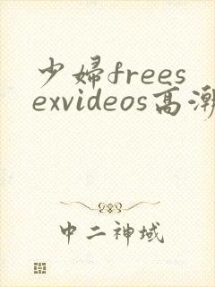 少妇freesexvideos高潮