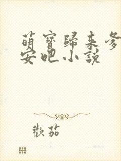 萌宝归来爹地跪安吧小说