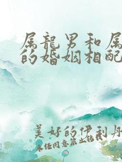 属龙男和属虎女的婚姻相配吗