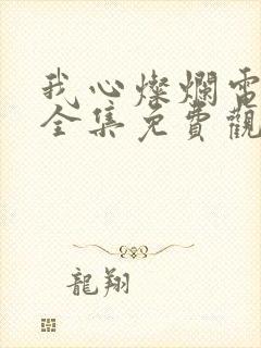 我心灿烂电视剧全集免费观看