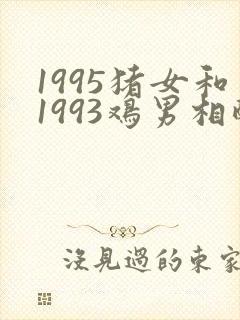 1995猪女和1993鸡男相配婚姻如何