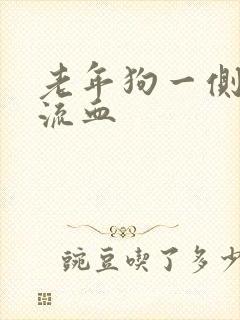 老年狗一侧鼻孔流血