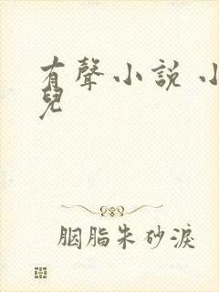 有声小说 小苮儿