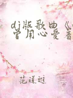 dj版歌曲《我曾用心爱着你》