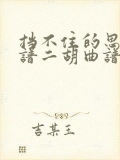 挡不住的思念简谱二胡曲谱