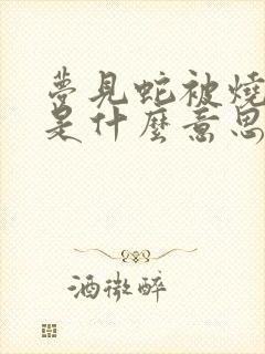 梦见蛇被烧死了是什么意思周公解梦