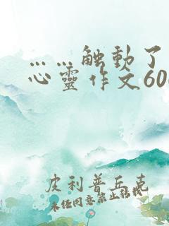 ……触动了我的心灵作文600