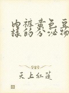 内裤黄色豆腐渣样的分泌物