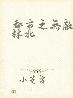 都市之无敌战神林北