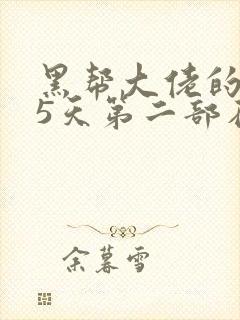 黑帮大佬的365天第二部在线观看