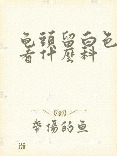 龟头留白色的脓看什么科