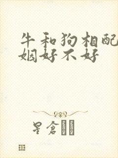 牛和狗相配吗婚姻好不好