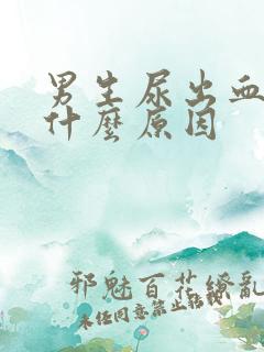 男生尿出血了是什么原因