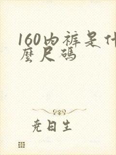 160内裤是什么尺码