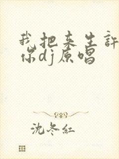 我把来生许给了你dj原唱