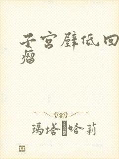 子宫壁低回声肌瘤