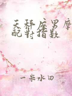 天秤座男摩羯女配对指数