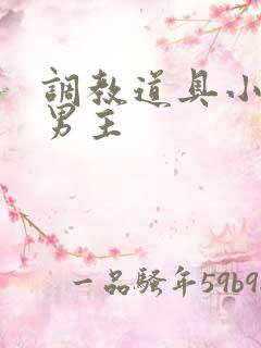 调教道具小说双男主