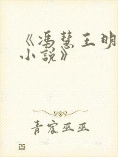 《冯慧王明张强小说》