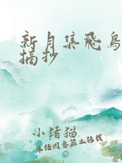 新月集飞鸟集的摘抄